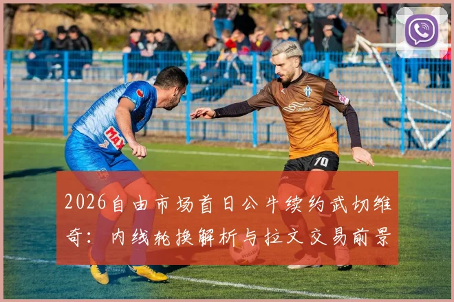 2026自由市场首日公牛续约武切维奇:内线轮换解析与拉文交易前景分析