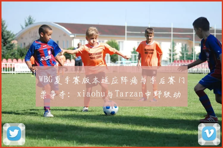 WBG夏季赛版本适应阵痛与季后赛门票争夺：xiaohu与Tarzan中野联动成破局关键