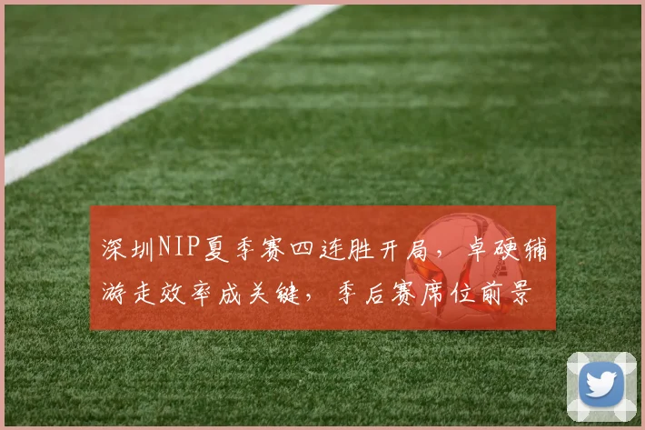 深圳NIP夏季赛四连胜开局,卓硬辅游走效率成关键,季后赛席位前景几何?